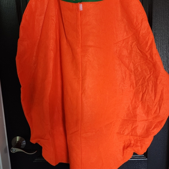 HALLOWEEN Pumpkin and Pumpkin Eater Costume - Picture 3 of 5